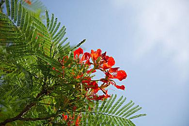 《博德之门3》成功后，《贪婪之秋2》得以抢先体验